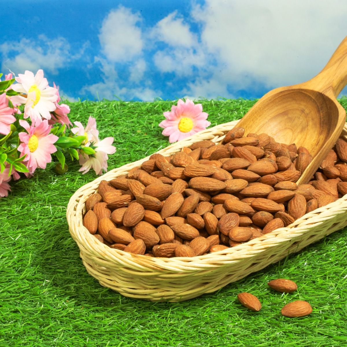 Product Thumbnail Image
