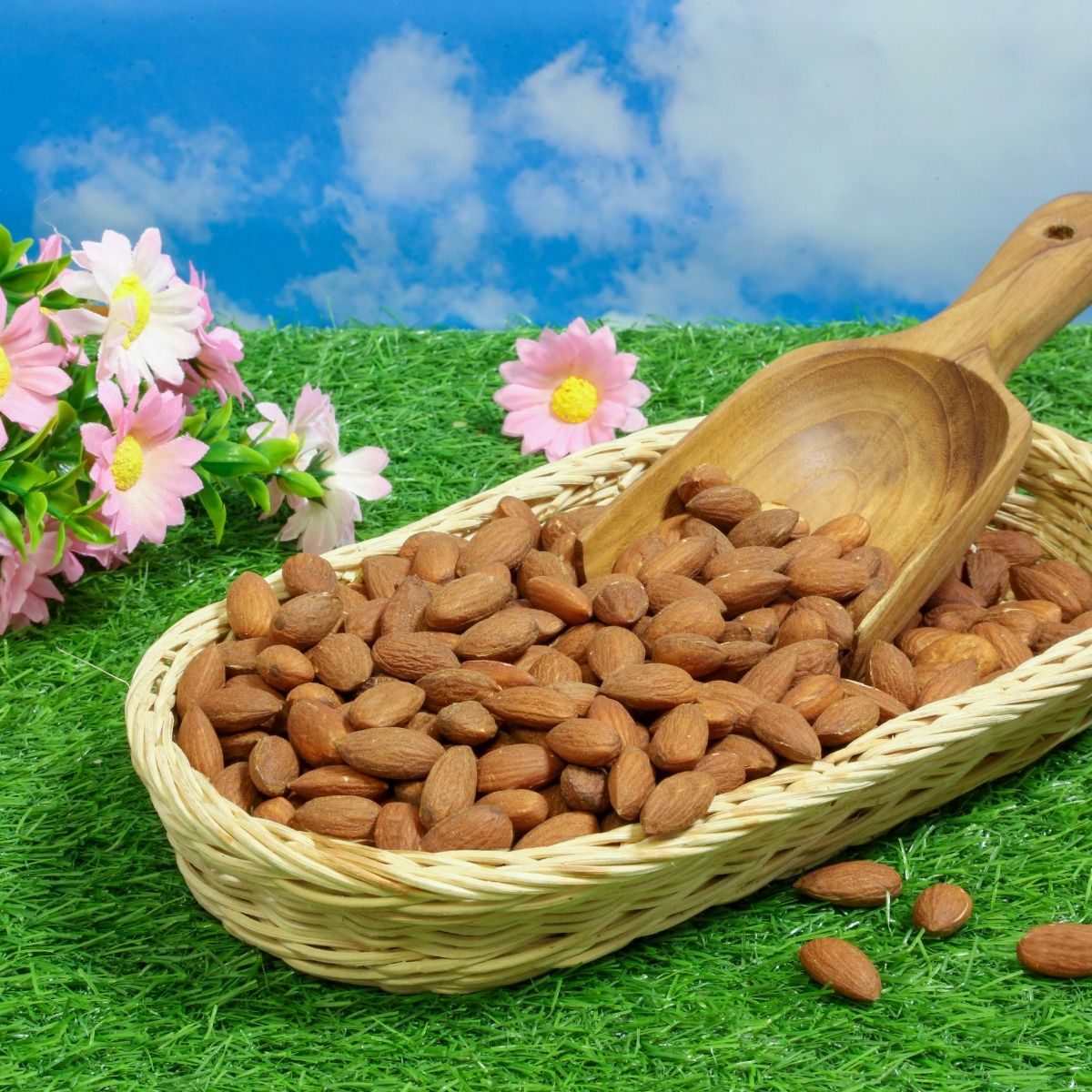 Product Thumbnail Image