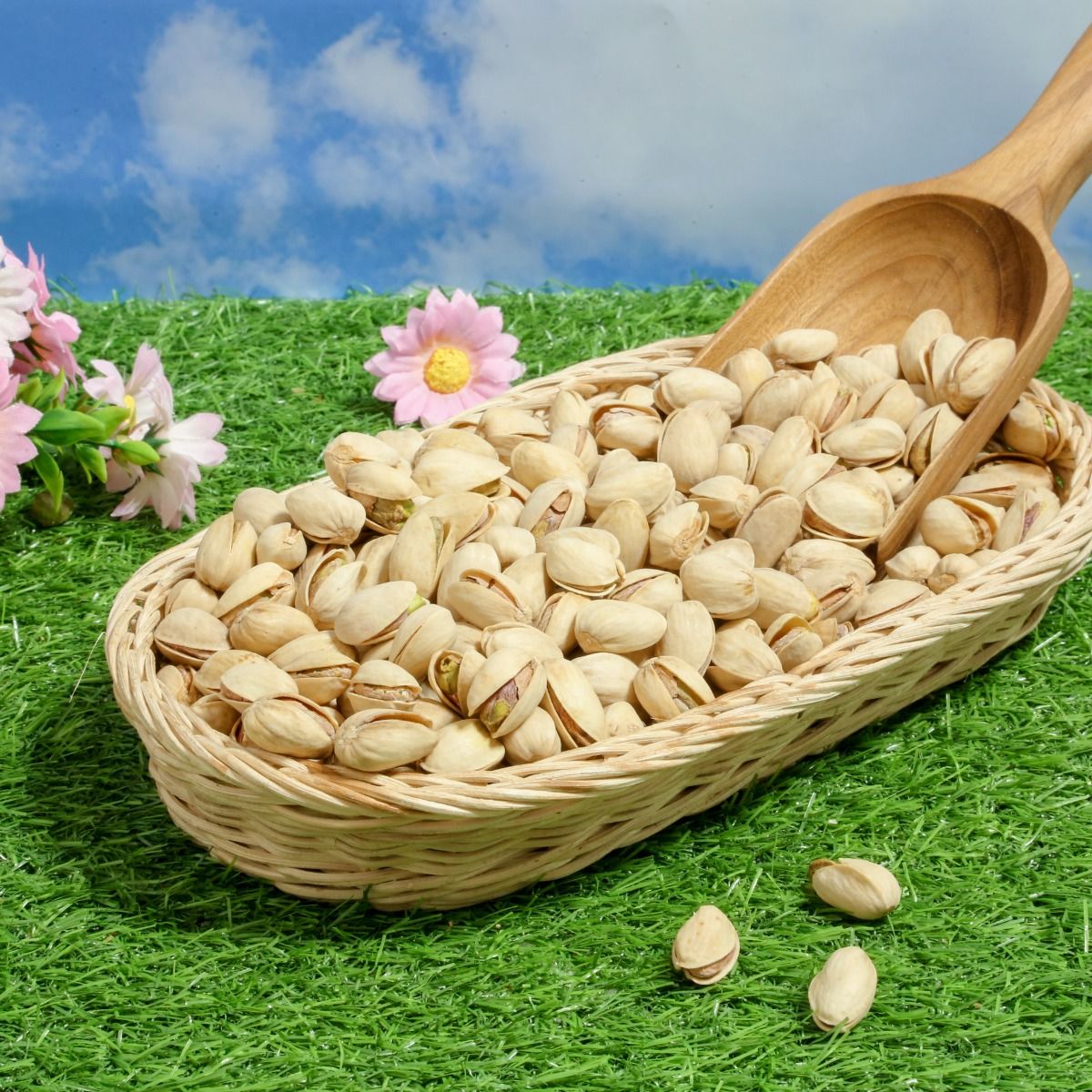 Product Thumbnail Image